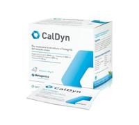 CalDyn sostiene l'integrit