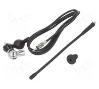 CALEARO Antenna AM / FM Universale a Tetto Esterna Stelo in Gomma Flessibile