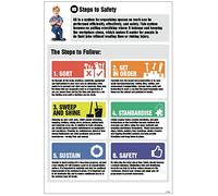 Caledonia segni 55940 6S Steps to Safety informazioni poster