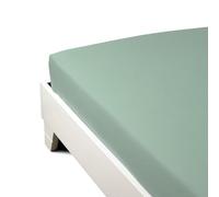 Caleffi 1003535 Percalle Inferiore Lenzuolo per Matrimoniale Letto, Giada