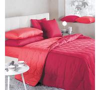 Caleffi 80466 Microfibra Bicolor Microfibra Calduccia Coperta Mezza Stagione per Piazza e Mezza Letto, Rosso