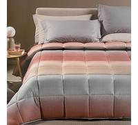 Caleffi Trapunta Invernale Una Piazza e Mezza 220x265 cm Art. Larry - Imbottitura 300 gr/m² in Microfibra Anallergica - Stampa Digitale, Made in Italy - Corallo o Gold (Corallo)