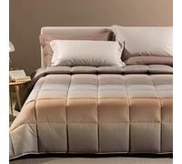 Caleffi Trapunta Invernale Una Piazza e Mezza 220x265 cm Art. Larry - Imbottitura 300 gr/m² in Microfibra Anallergica - Stampa Digitale, Made in Italy - Corallo o Gold (Gold)