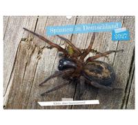 Calendar 2027 · UK Version · Spiders in Germany (Wall Calendar 2027 17" × 12" la