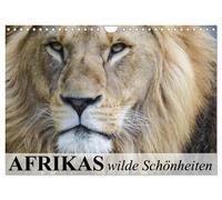 Calendar 2027 · US Version · Africa's wild beauties (Wall Calendar 2027 12" × 8"