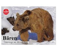 Calendar 2027 · US Version · Bears. On the road with Master Petz (Wall Calendar
