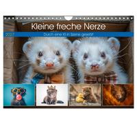 Calendar 2027 · US Version · Cheeky little minks (Wall Calendar 2027 12" × 8" la