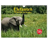 Calendar 2027 · US Version · Elephants. Wildlife in Kenya (Wall Calendar 2027 12