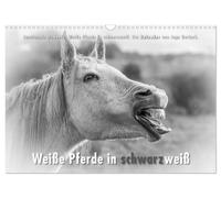 Calendar 2027 · US Version · Emotional moments: White horses in black and white.