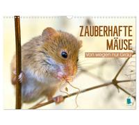 Calendar 2027 · US Version · Enchanting mice: Not just gray (Wall Calendar 2027