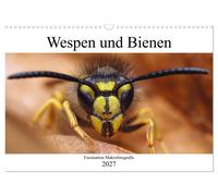 Calendar 2027 · US Version · Fascination macro photography: wasps and bees (Wall