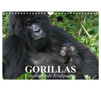 Calendar 2027 · US Version · Gorillas. Peace-loving powerhouses (Wall Calendar 2