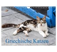 Calendar 2027 · US Version · Gr ats (Wall Calendar 2027 12" × 8" landscape),