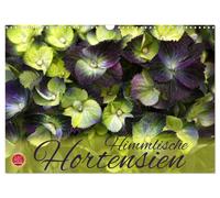 Calendar 2027 · US Version · Heavenly hydrangeas (Wall Calendar 2027 17" × 12" l