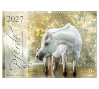 Calendar 2027 · US Version · Horses - grace, elegance, magic (Wall Calendar 2027