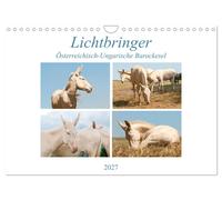 Calendar 2027 · US Version · Lightbringer - Austro-Hungarian Baroque Donkey (Wal