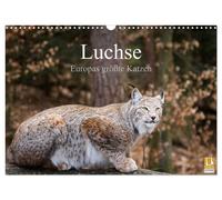 Calendar 2027 · US Version · Lynxes - Europe's biggest cats (Wall Calendar 2027