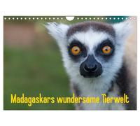 Calendar 2027 · US Version · Madagascar's wondrous wildlife (Wall Calendar 2027