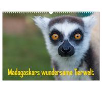 Calendar 2027 · US Version · Madagascar's wondrous wildlife (Wall Calendar 2027