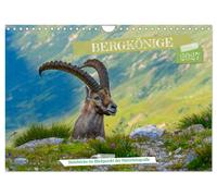 Calendar 2027 · US Version · Mountain kings - ibexes in the spotlight of nature