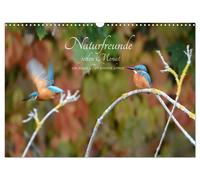 Calendar 2027 · US Version · Nature lovers, meet a new animal every month. (Wall