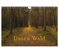 Calendar 2027 · US Version · Our Forest - Magical Views into North German Forest