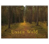 Calendar 2027 · US Version · Our Forest - Magical Views into North German Forest