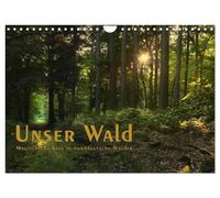 Calendar 2027 · US Version · Our forest - magical views into northern German for