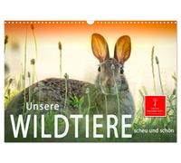 Calendar 2027 · US Version · Our wild animals - shy and beautiful (Wall Calendar