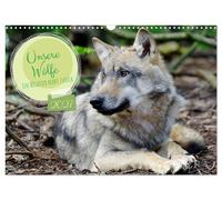 Calendar 2027 · US Version · Our wolves - A wild animal returns (Wall Calendar 2