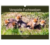 Calendar 2027 · US Version · Playful fox cubs - home alone' (Wall Calendar 2027