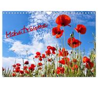 Calendar 2027 · US Version · Poppy dreams (Wall Calendar 2027 12" × 8" landscape