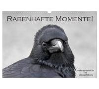 Calendar 2027 · US Version · Ravenous moments (Wall Calendar 2027 17" × 12" lan