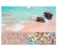 Calendar 2027 · US Version · rose roots coral sand (Wall Calendar 2027 12" × 8"