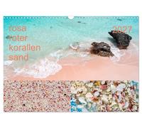 Calendar 2027 · US Version · rose roots coral sand (Wall Calendar 2027 17" × 12"