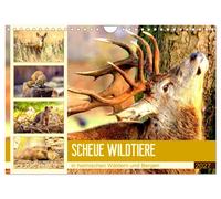 Calendar 2027 · US Version · Shy wild animals in native forests and mountains (W