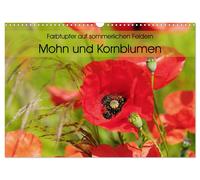 Calendar 2027 · US Version · Splashes of color in summer fields - poppies and co