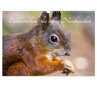 Calendar 2027 · US Version · Squirrels - the cute nutcrackers (Wall Calendar 202