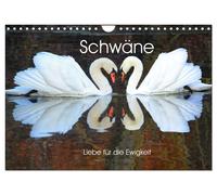 Calendar 2027 · US Version · Swans, love for eternity (Wall Calendar 2027 12" ×