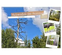 Calendar 2027 · US Version · Sweden in summer (Wall Calendar 2027 17" × 12" land