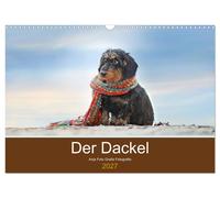 Calendar 2027 · US Version · The dachshund (Wall Calendar 2027 17" × 12" landsca
