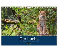 Calendar 2027 · US Version · The lynx - high legged, brush ears, whiskers (Wall