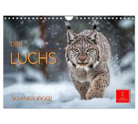 Calendar 2027 · US Version · The lynx - shy hunter (Wall Calendar 2027 12" × 8"