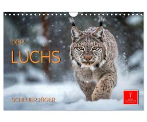 Calendar 2027 · US Version · The lynx - shy hunter (Wall Calendar 2027 12" × 8"
