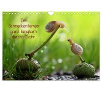 Calendar 2027 · US Version · Very slowly at a snail's pace through the year (Wal