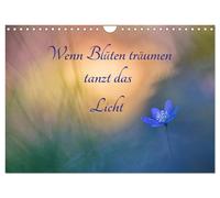 Calendar 2027 · US Version · When flowers dream the light dances (Wall Calendar
