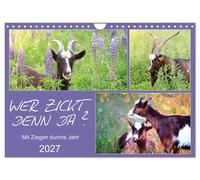 Calendar 2027 · US Version · Who's bitching? With goats through the year (Wall C