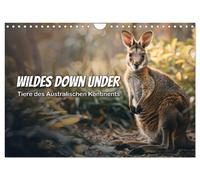 Calendar 2027 · US Version · Wild Down Under: Animals of the Australian continen