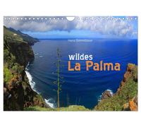 Calendar 2027 · US Version · wild La Palma (Wall Calendar 2027 12" × 8" landscap