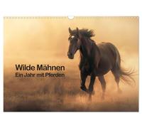Calendar 2027 · US Version · Wild manes: A year with horses (Wall Calendar 2027